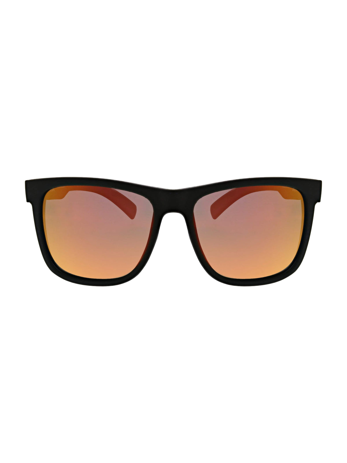 New Schoolers Wayfarer Sunglasses
