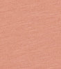 Martian Rust Swatch