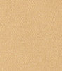 Tan Swatch