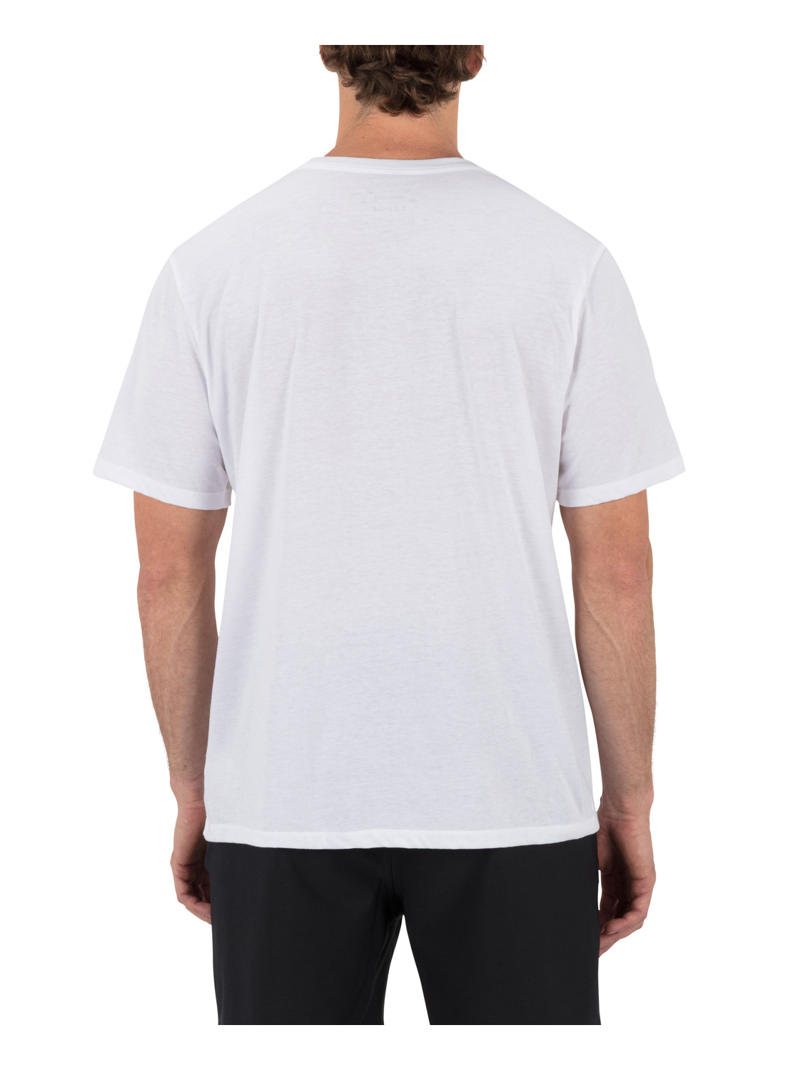 Wet Sand Short Sleeve