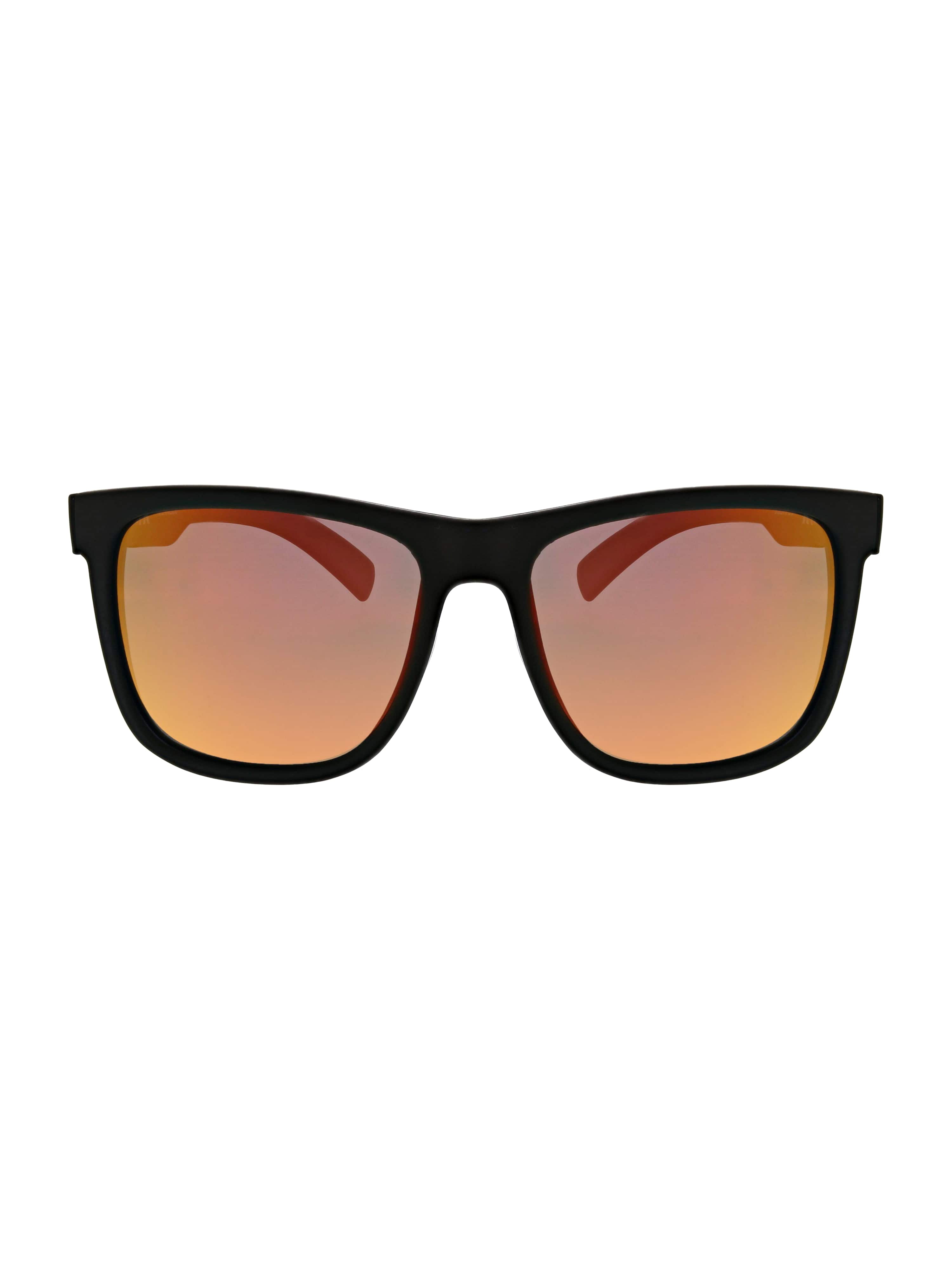 New Schoolers Wayfarer Sunglasses
