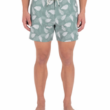 Phantom Eco Sessions 16"