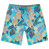 Phantom Eco Weekender 20"