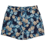 Cannonball Volley 17"