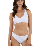 Amphora Banded Hipster Moderate Bikini Bottom