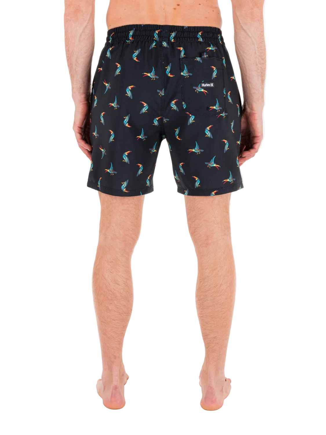 Person wearing black shorts with colorful flamingo pattern on a white background