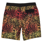 Colorful patterned shorts on a white background