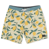 Phantom Eco Classic 18"