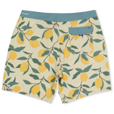 Phantom Eco Classic 18"