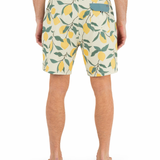 Phantom Eco Classic 18"