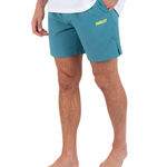Person wearing teal Hurley shorts on a white background