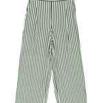 Green and white striped pants on a white background