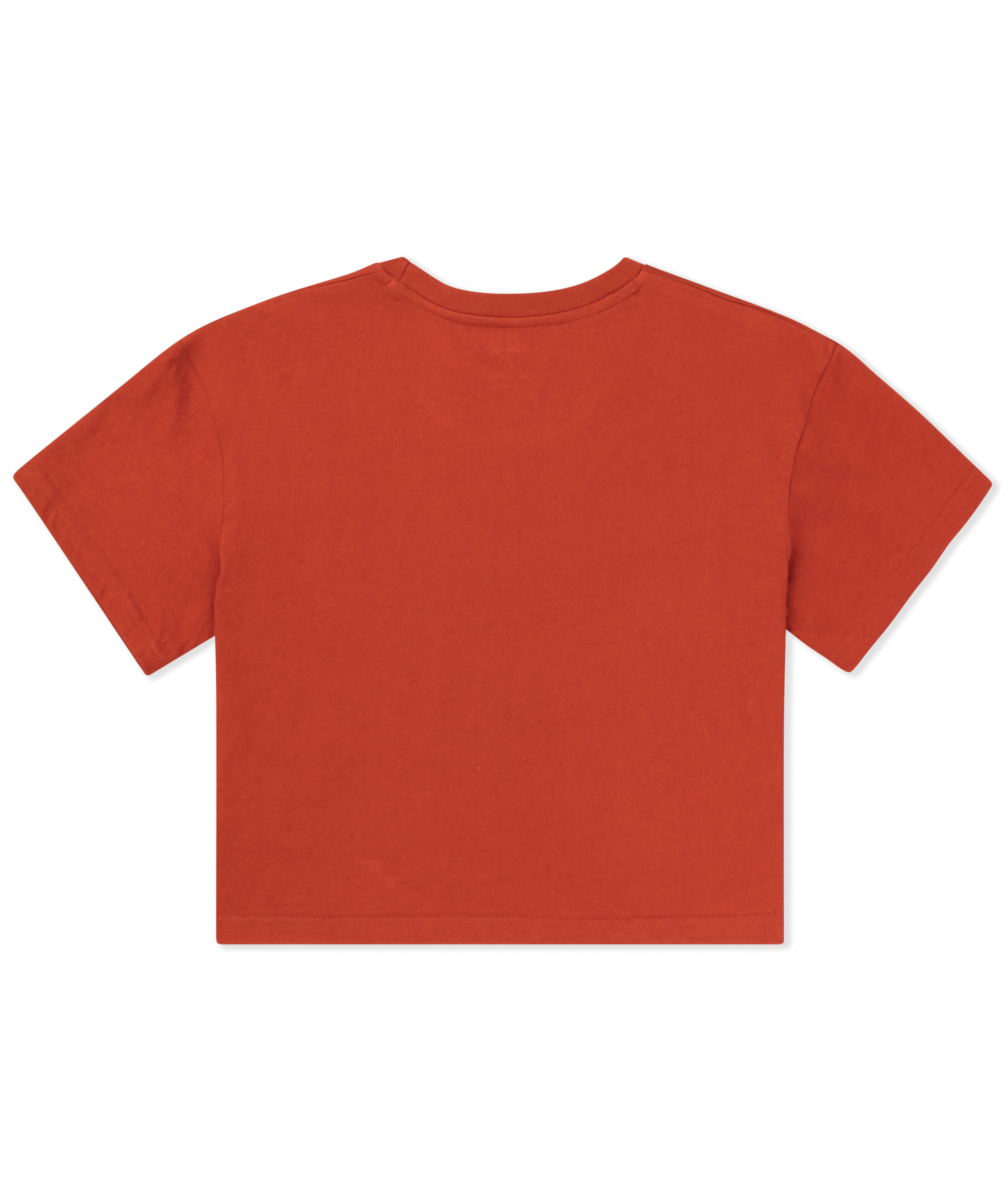Collegiate Boxy Crop Tee
