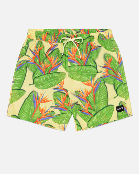 (取寄) ハーレー メンズ キャノンボール ボレー 17 Hurley men Cannonball Volley 17 Bone 3 Cannonball Volley 17