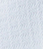 Platinum Swatch