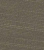 Olive Swatch